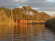 Massaciuccoli lake - birdwatching oasis